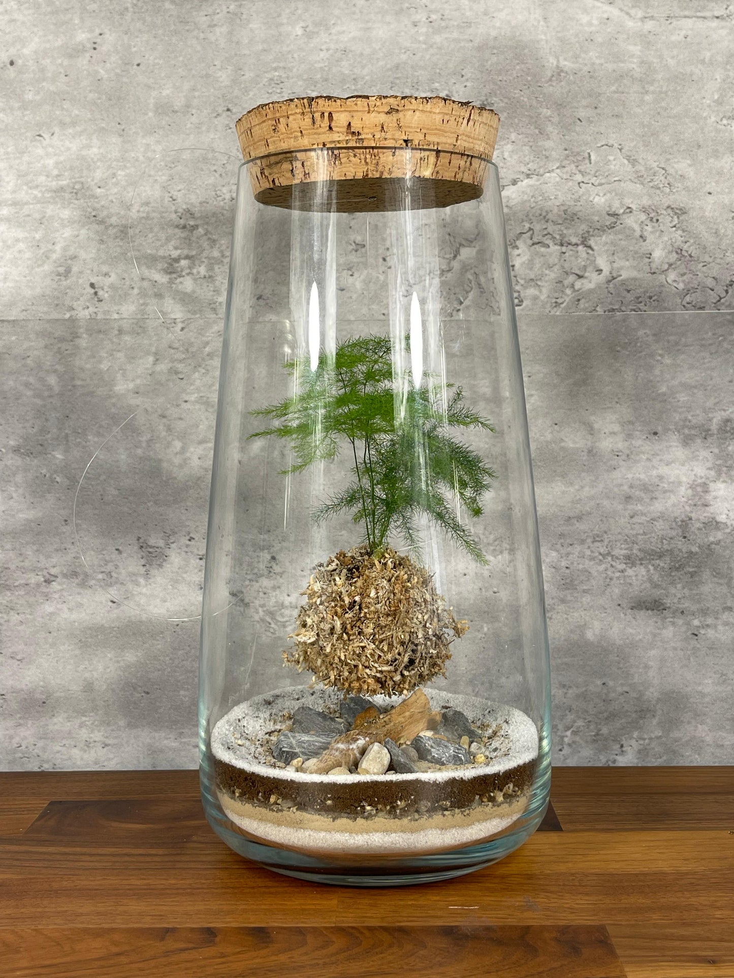 Hesabu Kokedama - Medium (fern)