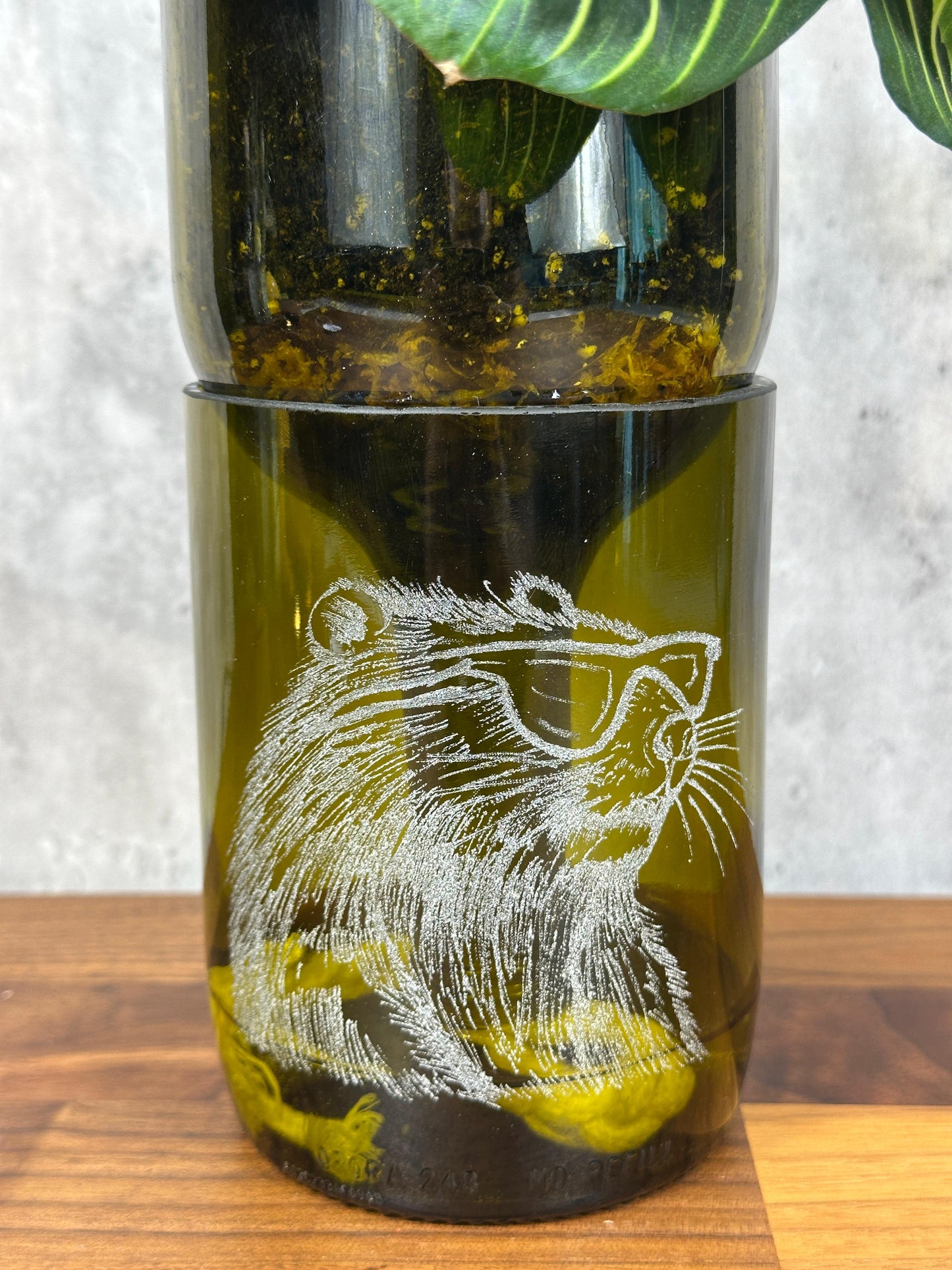 Engraved Bottle Planter -cool beaver (1.5 litre wine)
