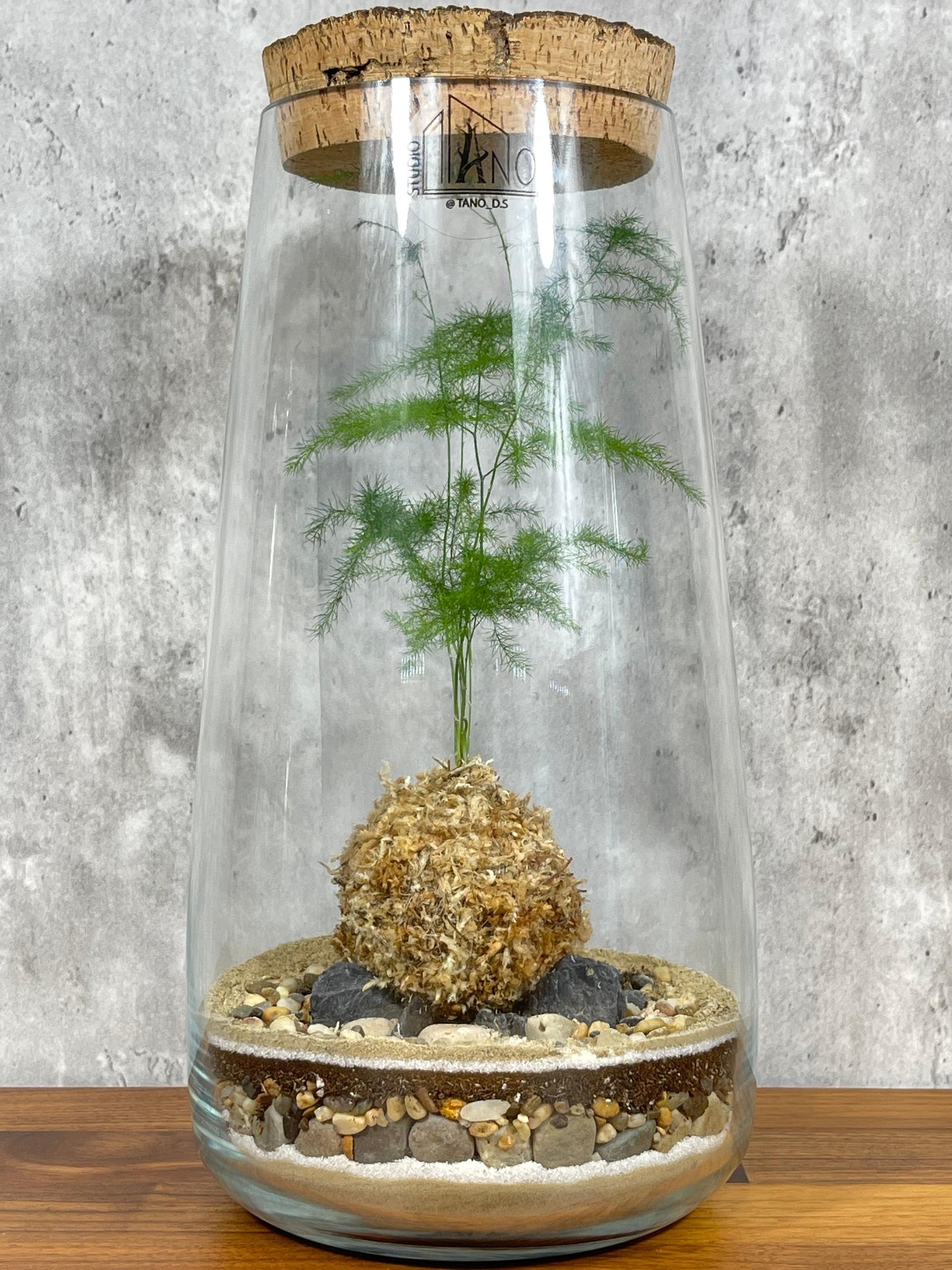 Hesabu Kokedama - Medium (fern)