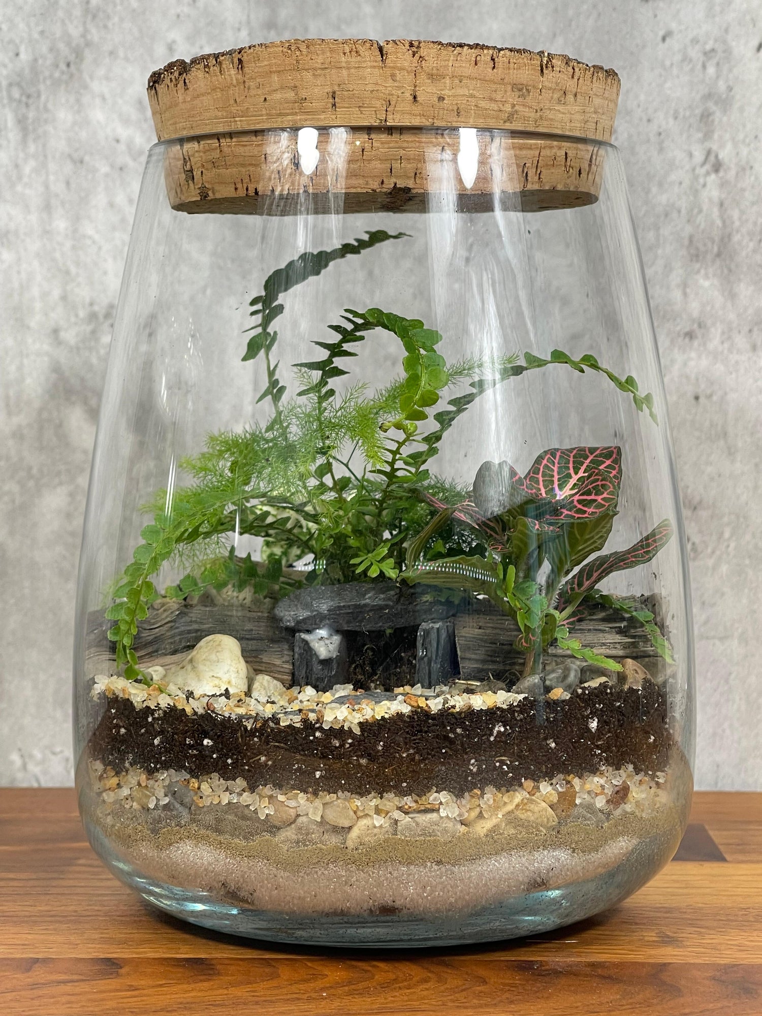 Terrariums