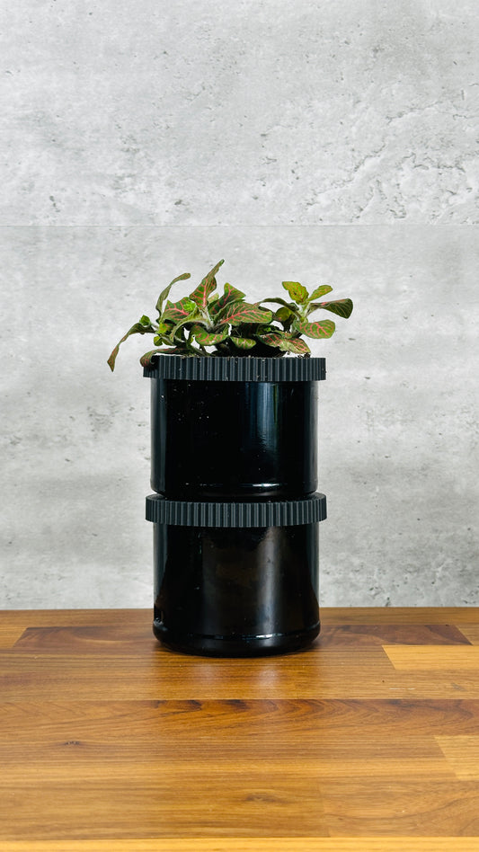 Upcycled Unique Assorted Planter