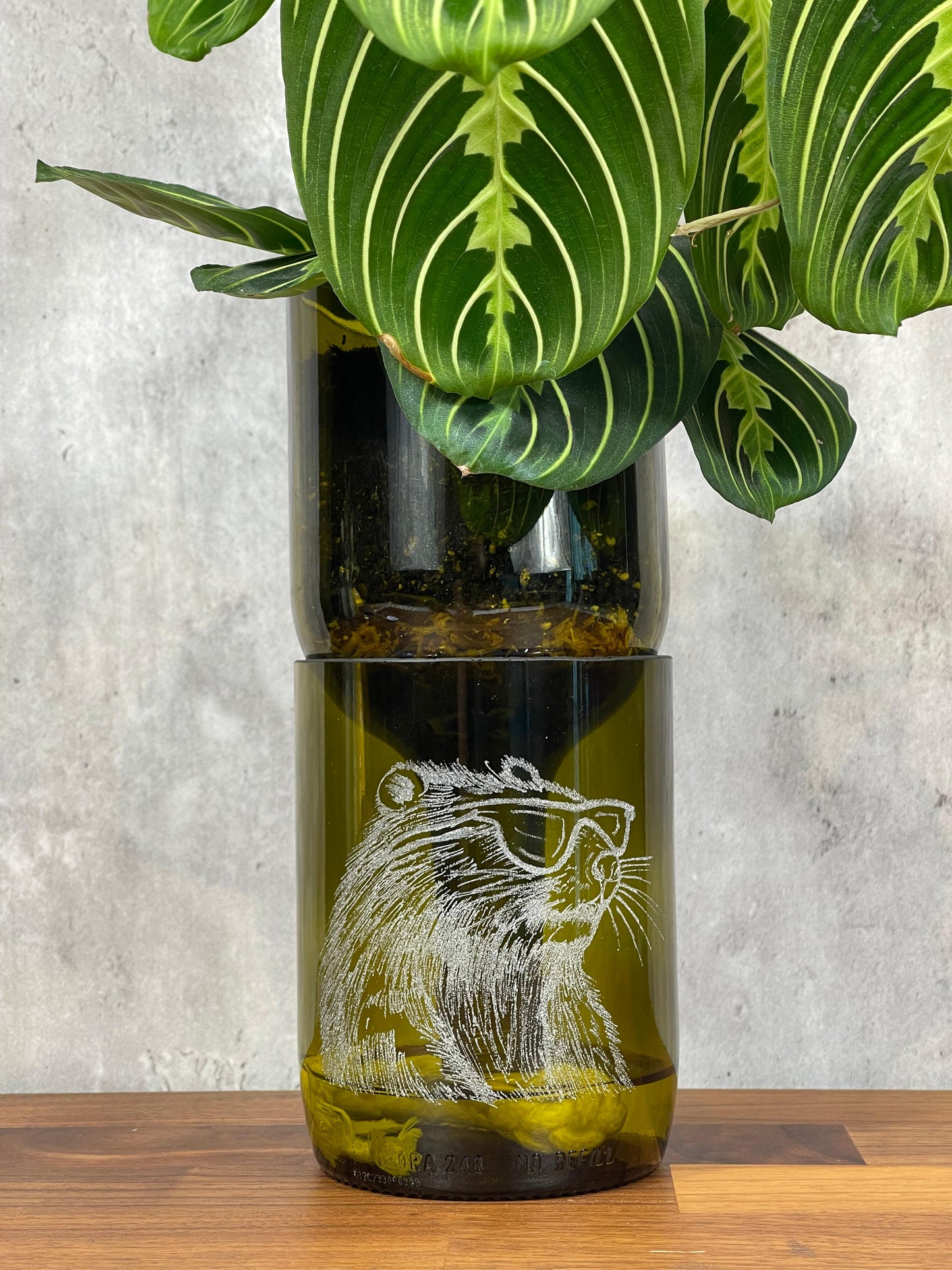 Engraved Bottle Planter -cool beaver (1.5 litre wine)